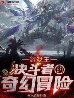 游戏王:决斗者的奇幻冒险 游戏王:决斗者的奇幻冒险