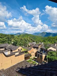 重生回到1982开局捡了一野猪 重生回到1982开局捡了一野猪